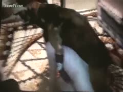 This doggy is truly eager